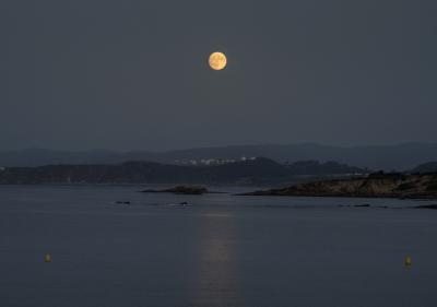 Прикрепленное изображение: MG9A7025_Enhancer_w.jpg